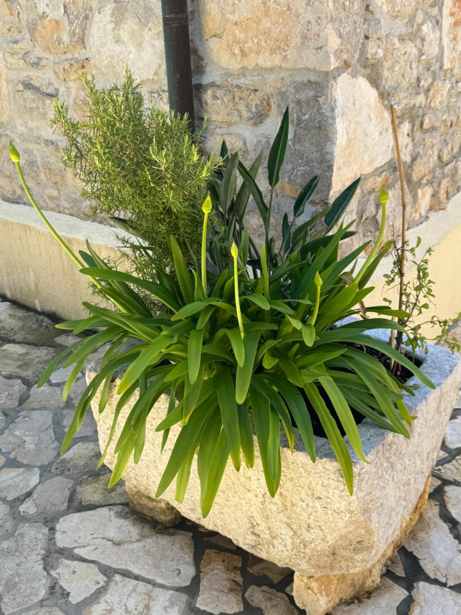 Mediterranes Ferienhaus M. Terrasse Велі-Лошинь Екстер'єр фото
