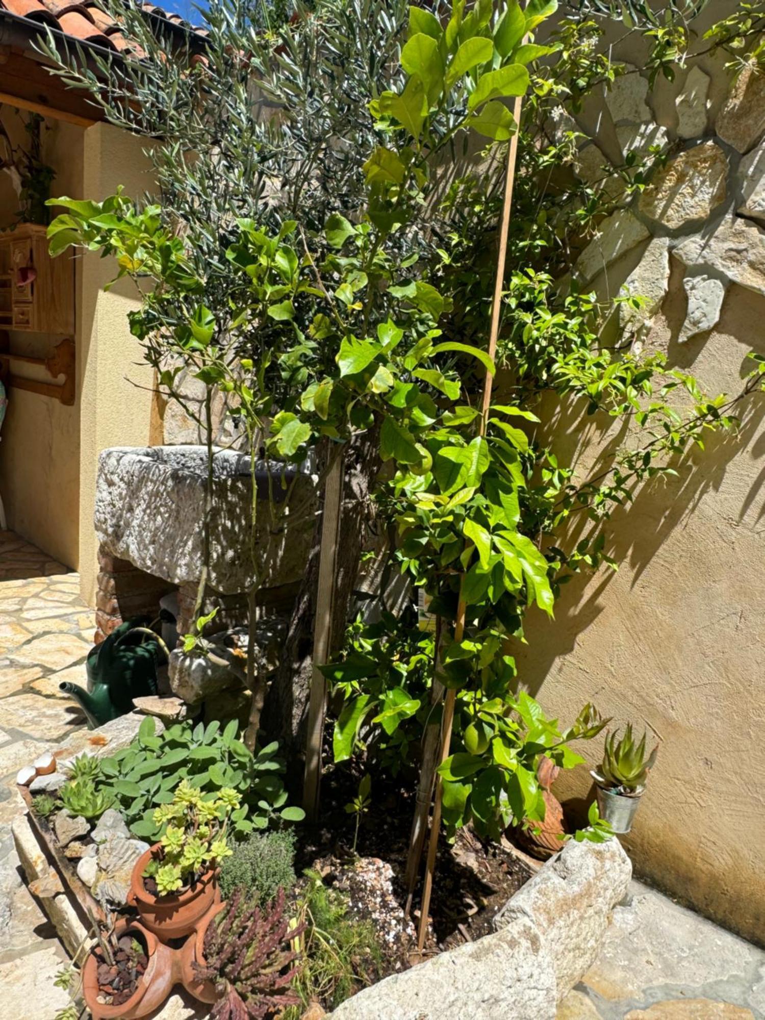 Mediterranes Ferienhaus M. Terrasse Велі-Лошинь Екстер'єр фото